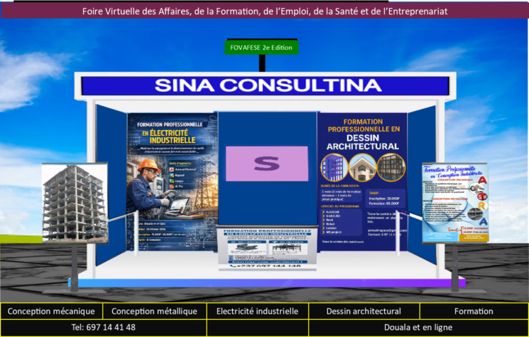 SINA consultin
