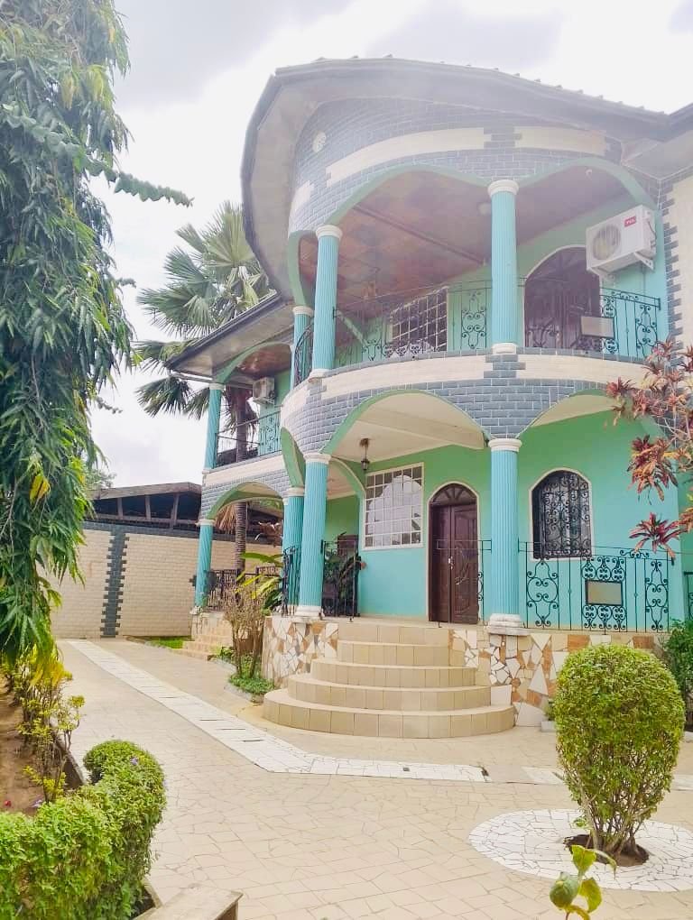 DUPLEX MEUBLÉ À VENDRE EBOLOWA-ANGALE / 219 000 000