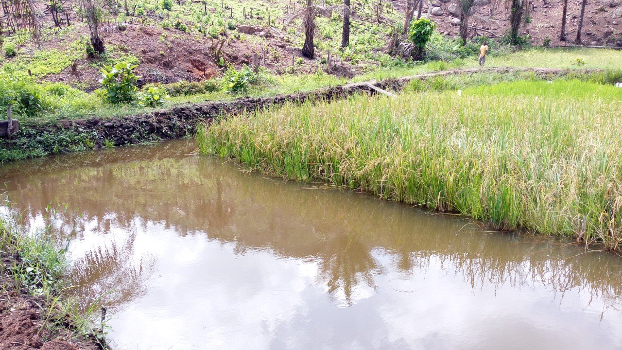 Avis de recrutement : DIRECTEUR en Agroalimentaire (biscuits, bonbon, mayonnaise, margarine, cake, tomate concentrée et autres)