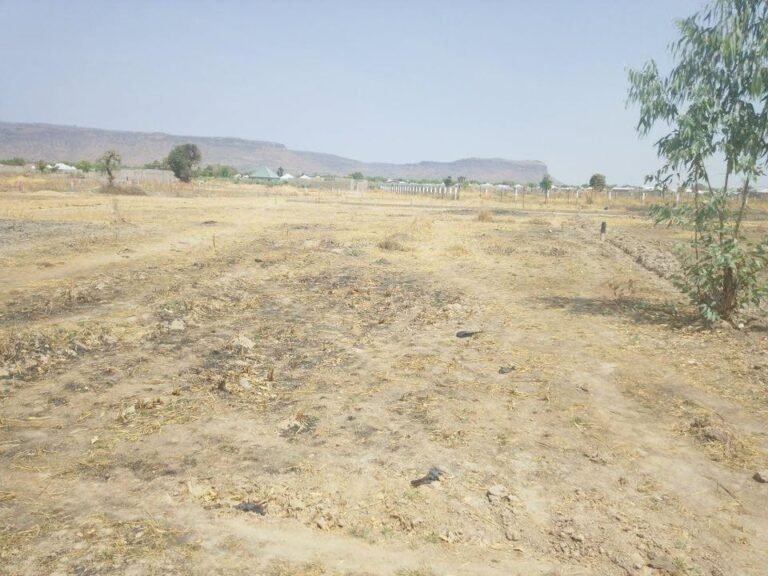 terrain à vendre à djoumassi très bien placé