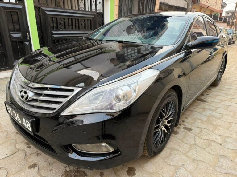 Hyundai Grandeur HG300
