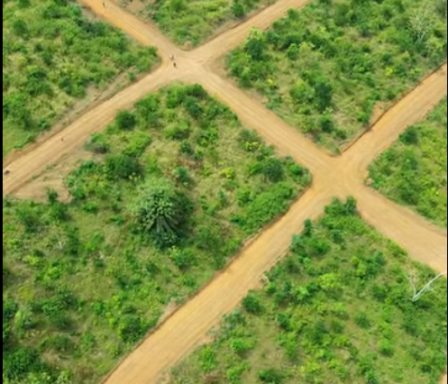 Terrain1